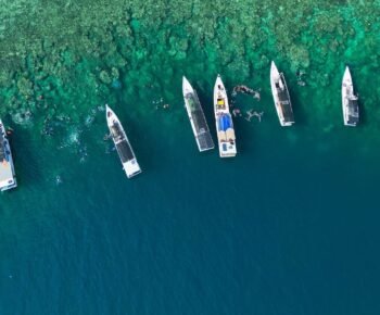 DJI 0554 E1775400703387 350x290