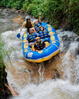 Traveljoy | Tour Organizer Specialist Traveljoy