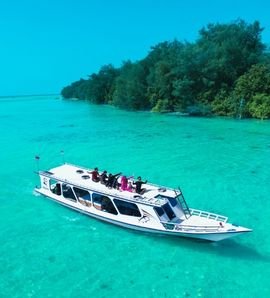 Traveljoy