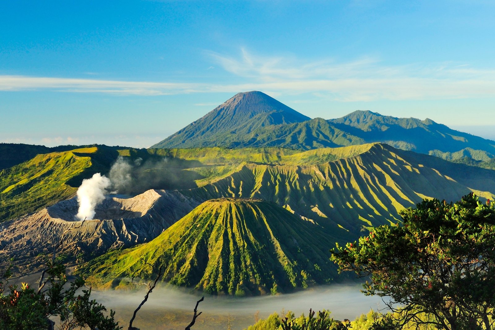 Traveljoy