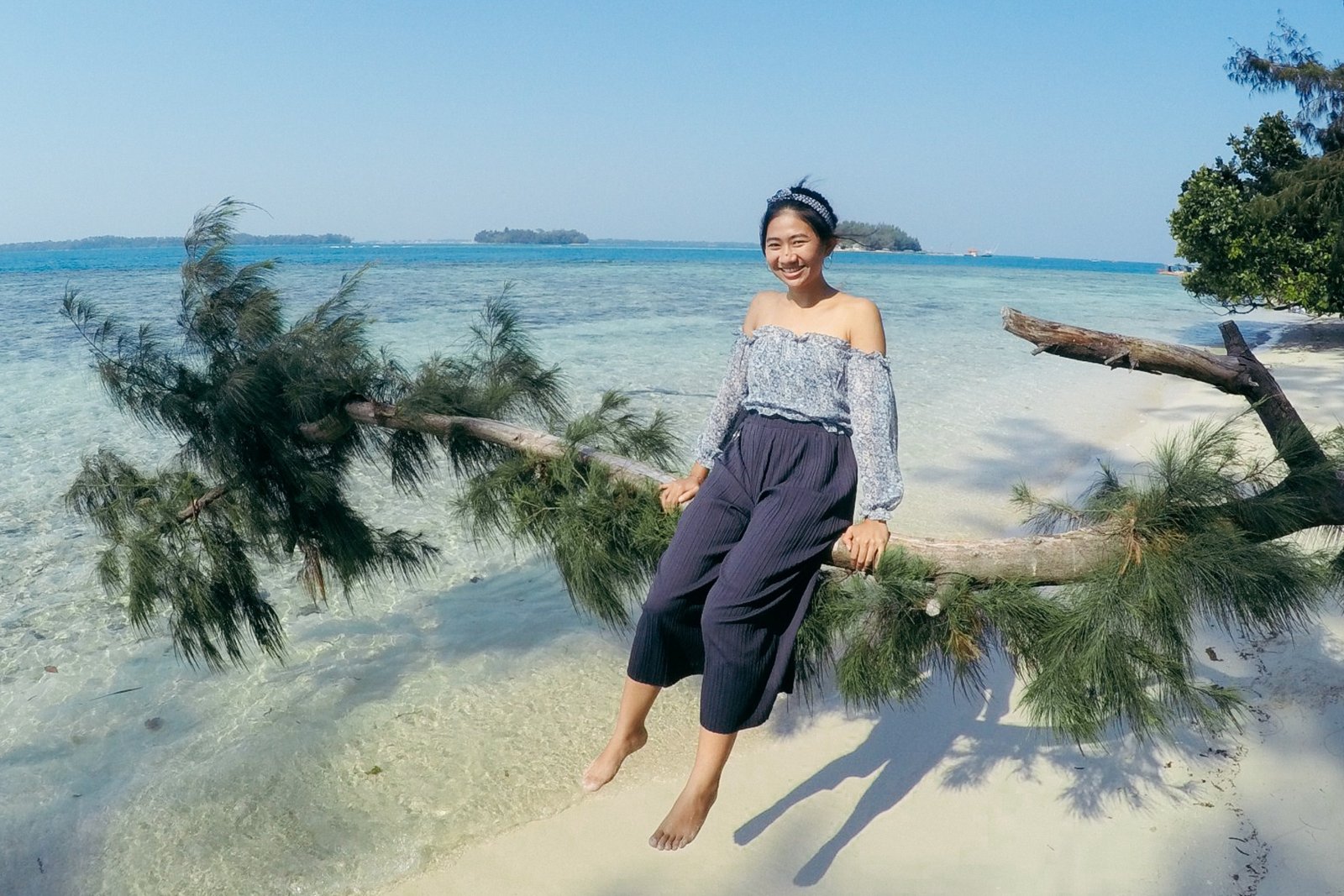 Traveljoy