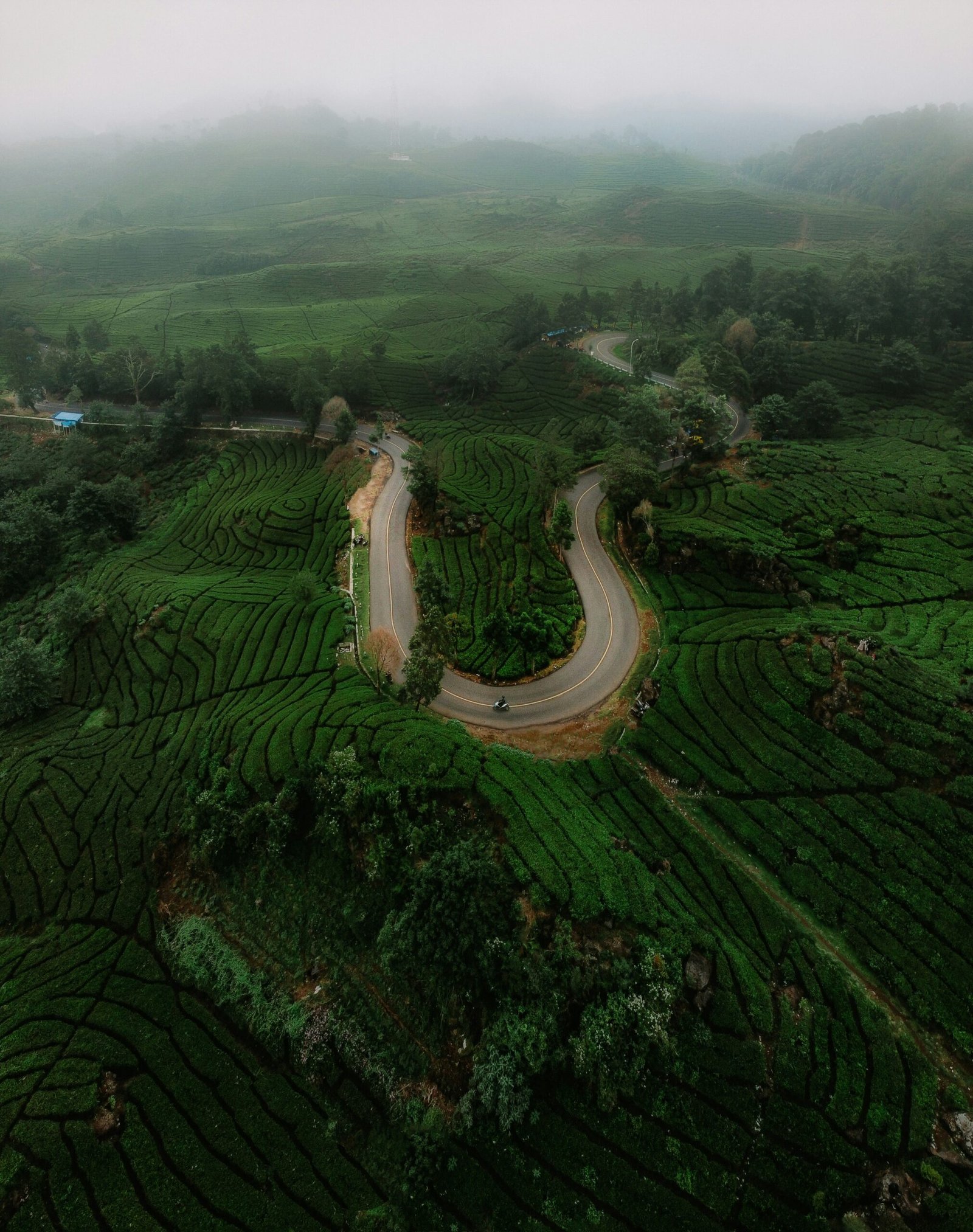 Traveljoy