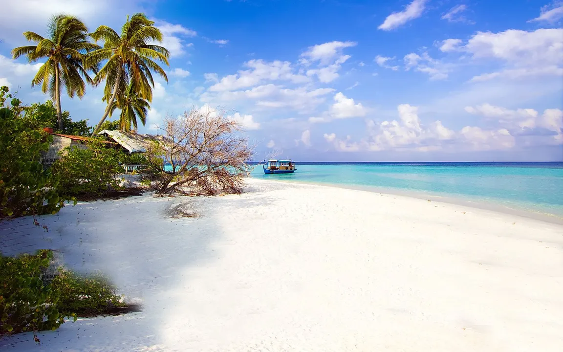 Traveljoy