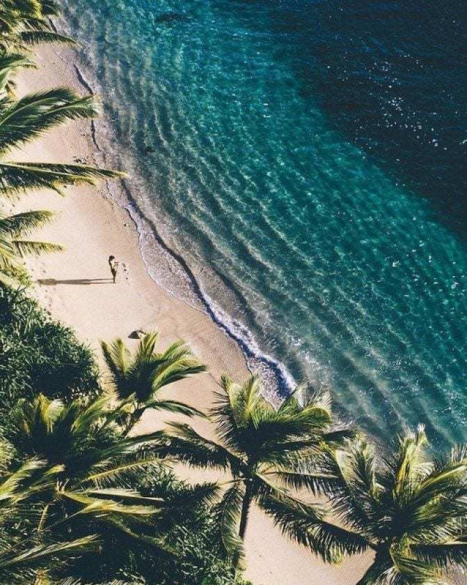 Traveljoy