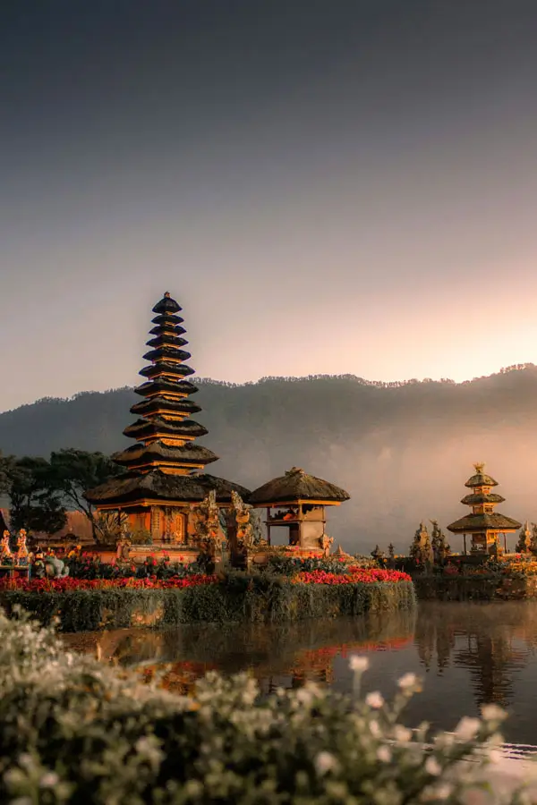 Traveljoy